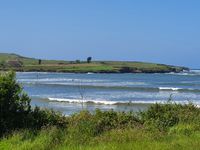 La reclamación y devolución de las multas impuestas durante el confinamiento decretado en el primer estado de alarma